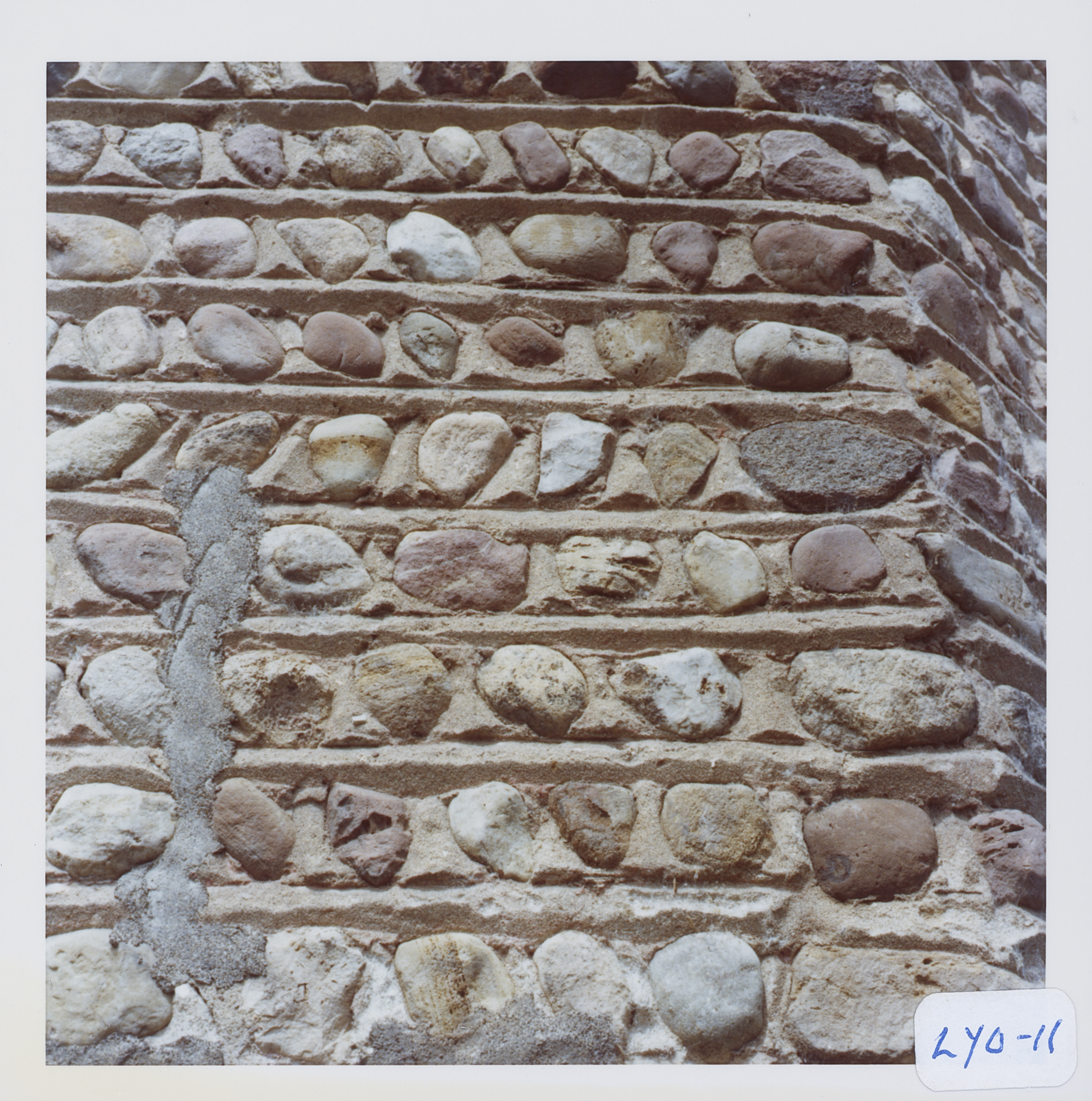 Lyo_11_3